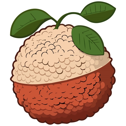 Lychee Classroom Fruit Transparent Sticker
